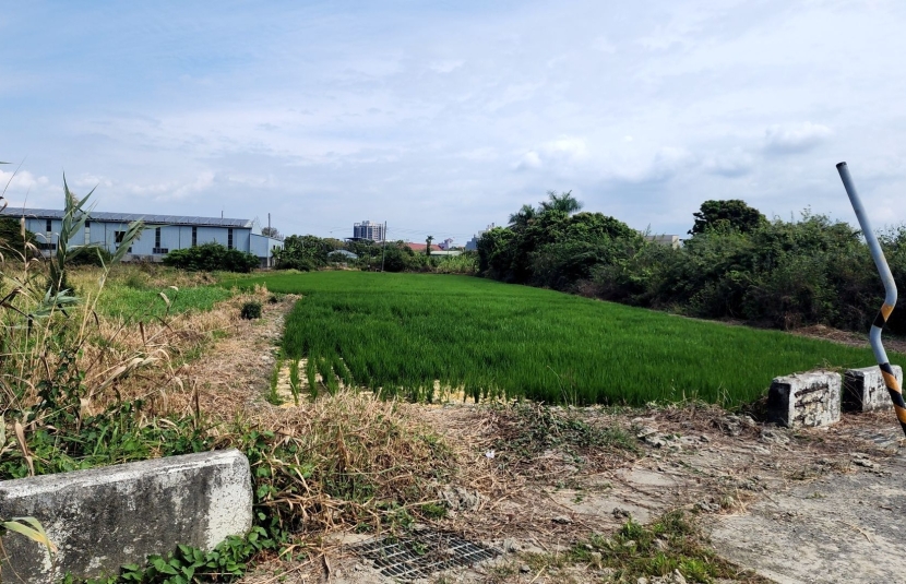 岡山大路邊可投資都內農地售持分