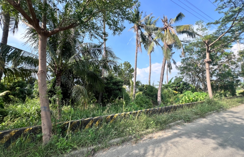 典寶溪滯洪池旁-景觀農地