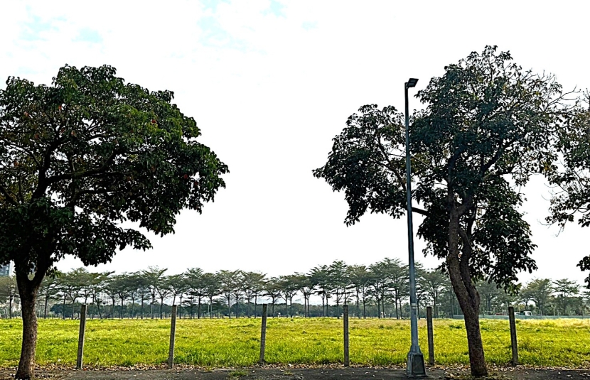 新市鎮橋新環路(租)